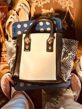 Small Black & White Snake-Trim purse.